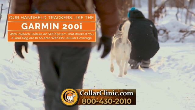 GPS Collars for Dogs - Collar Clinic - GPS Collars for Dogs смотреть онлайн