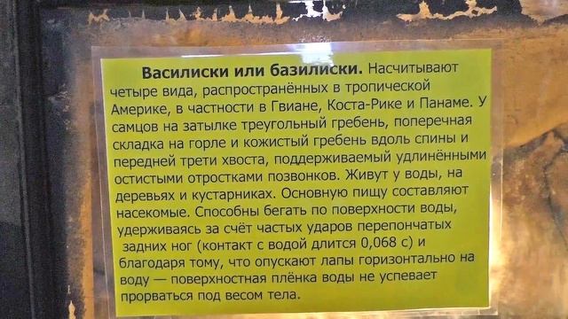 Анапа. Крокодиловая ферма в Анапе на ул.Гребенская, 4. Отдых на Крокодиловой ферме. Подробный обзор.