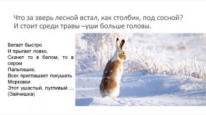 Зима