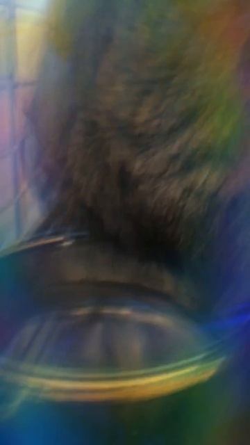 Как мой заяц пьёт воду смотреть онлайн