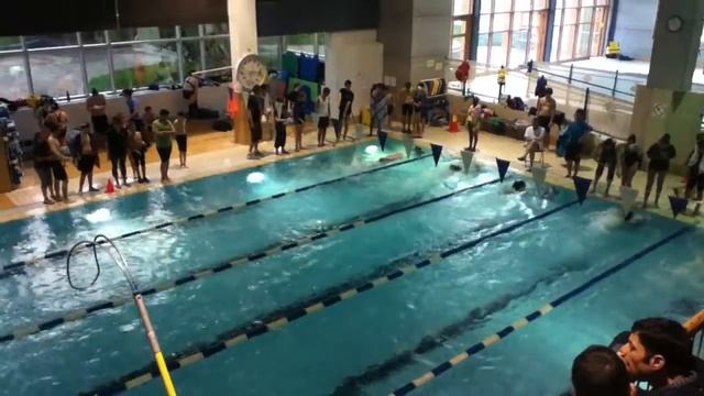 СОРЕВНОВАНИЯ ПО ПЛАВАНИЮ (НЕ НА МЕДАЛЬ) смотреть онлайн