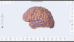 ЦНС Рельеф плаща