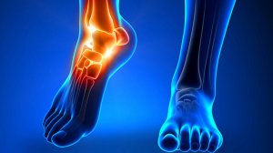 Цикл лекций Европейской клиники спортивной травматологии и ортопедии EMC