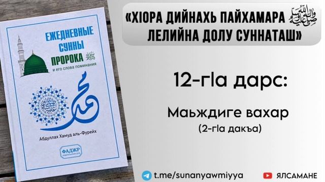 12. "ХIора дийнахь Пайхамара ﷺ лелийна долу суннаташ": маьждиге вахар | Муса смотреть онлайн