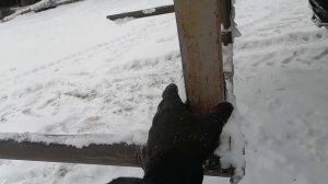 🧐Обзор правильных вил на юмз 6 на заднюю навеску для подвоза леса к пилораме 🤨👍🧜♂️