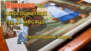Прогресс на многоцветках за 3 месяца.