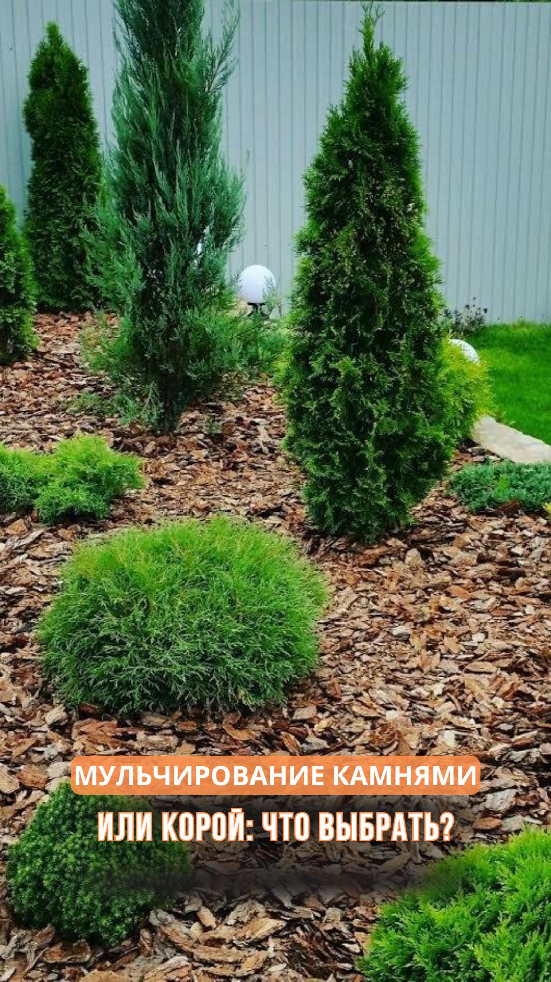 Мульчирование камнями или корой: что выбрать? смотреть онлайн