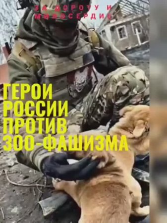 Герои России против эвтаназии!