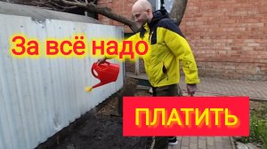 Переезд на ЮГ/ЯРМАРКА выходного дня/Цены на овощи и фрукты на ЮГЕ/Обзор покупок/Володя требует ОПЛАТ
