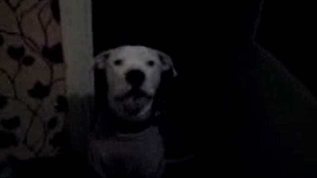 Пит разговаривает с человеком смотреть онлайн