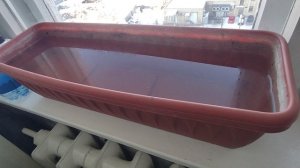 увлажнитель воздуха который есть у всех но им мало кто пользуется смотрим .