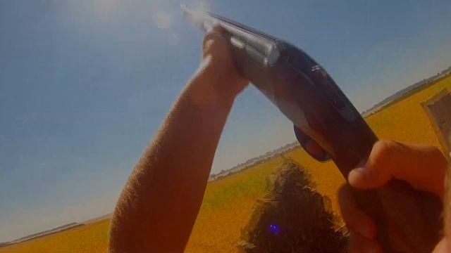 CHASSE AU PIGEON-2019-beaucoup de tirs !!!! смотреть онлайн