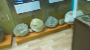 Музей Черногорск нашел ейти детеныша который сторожит сокровища КРАСОТА ХАКАСИИ подвал ильича