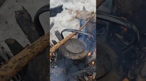 Настоящий таёжный чай