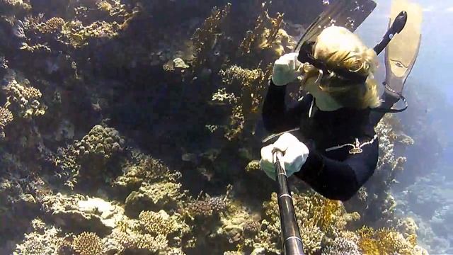 Freediving in Marsa Alam, Red Sea | Egypt