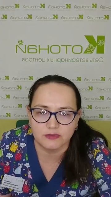 Сахарный диабет у кошек смотреть онлайн