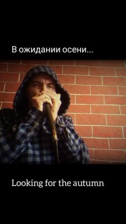 настроение: губная гармошка