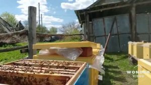 Расширяем 6 рамочный улей. #пасека #деревня #работа на пасеке