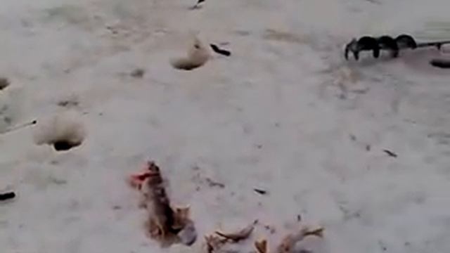 Юрьевка 14 11 09 4 смотреть онлайн