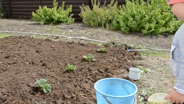 ✿VLOG! Арина в огороде! Нашли дождевых червей! смотреть онлайн