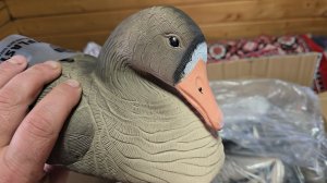 Обновил гусиный гардероб