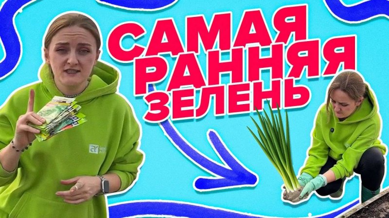 РАННИЙ ПОСЕВ ЗЕЛЕНИ