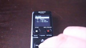 The Sony ICD UX570 : How To Adjust Playback Settings