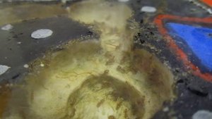 муравьиная ферма Lasius Flavus