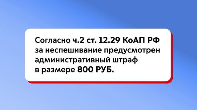 Правила дорожного движения по управлению средствами индивидуальной мобильности_021224