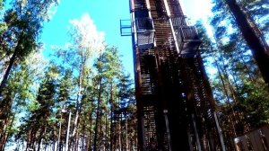 Прибалтийский отпуск: Юрмала моими глазами (часть 6)