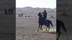 Нурсултан палуан Алпамыс палуаннын улы Озининг жана аты Императорда