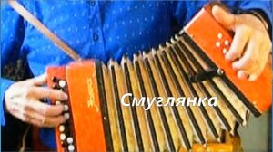 А.Новиков. Смуглянка на детской гармошке.
