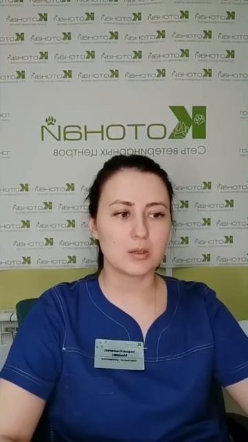 Лекция о реанимации у кошек и собак смотреть онлайн