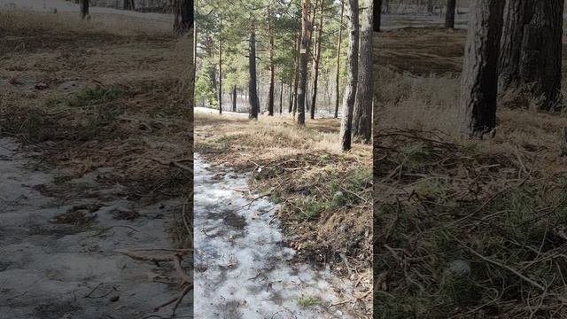 Тропа на канале. Таганай верхняя тропа. Мишенная сопка петропавловск-камчатский. Тропа на канале. Боткинская тропа в крыму.