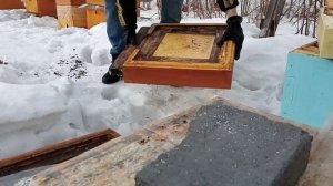 меняем донья улья ППУ. операция "Мышь"