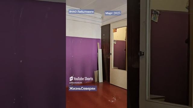 Возвращение домой. Ямало-Ненецкий АО Лабытнанги. ЖизньСеверян.  Март 2025