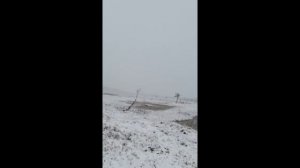 ОХОТА НА ГУСЯ 2019. ОСЕНЬ.КАРЕЛИЯ #ГУСЬ2019#охотанагусявкарелии  охота в карелии