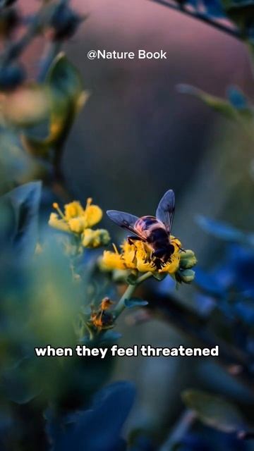 Killer Bees Are the Most Dangerous Insects смотреть онлайн