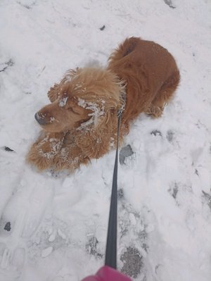 делаем уроки вместе  с вами