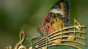 Расслабляющая музыка для снятия стресса, тревоги и депрессии. Бабочки и спокойная музыка для релакса