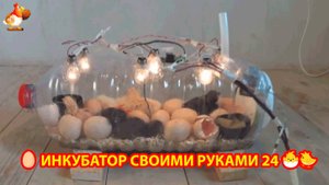 Инкубатор своими руками из подручных материалов и результат инкубации🥚🐣🐤 вариант (24)