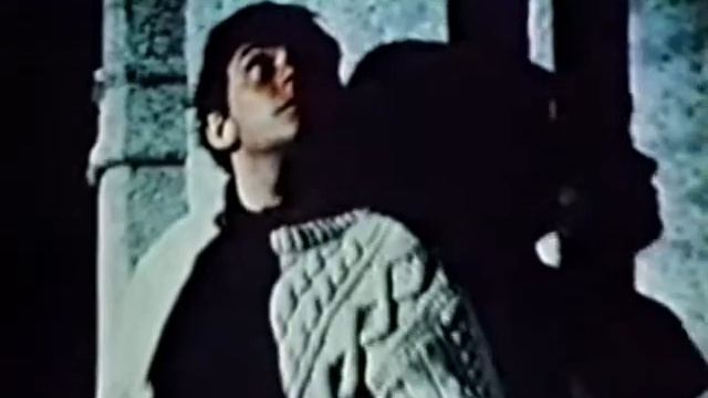 Animals San Franciscan Nights смотреть онлайн