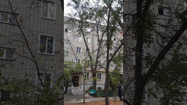 Удаление деревьев у жилового дома в трудно доступном месте смотреть онлайн