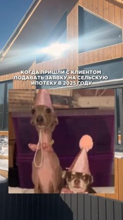 Когда идешь подавать с клиентом заявку на сельскую ипотеку в 2025 году