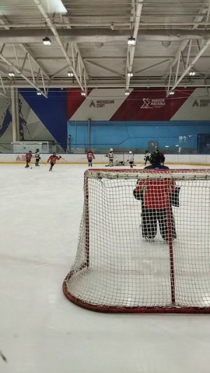 хоккей 🏒 тренировки