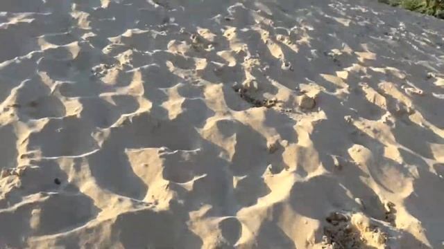 Беловы Кометы смотреть онлайн