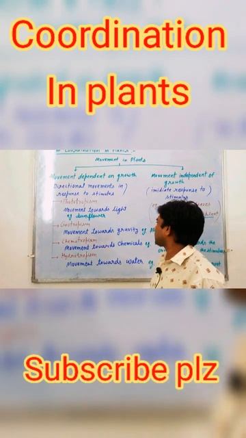 coordination in plants shorts