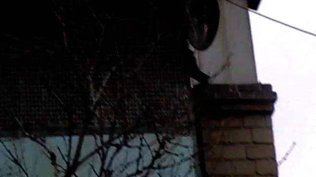 MOV002 2Перекличка.Витя Логоша отметился. 19 марта. смотреть онлайн