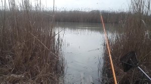 Неудачная рыбалка. Варнава устье, 27.03.2025 г.