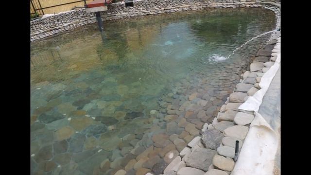 Пруд для форели, осетра и карпа